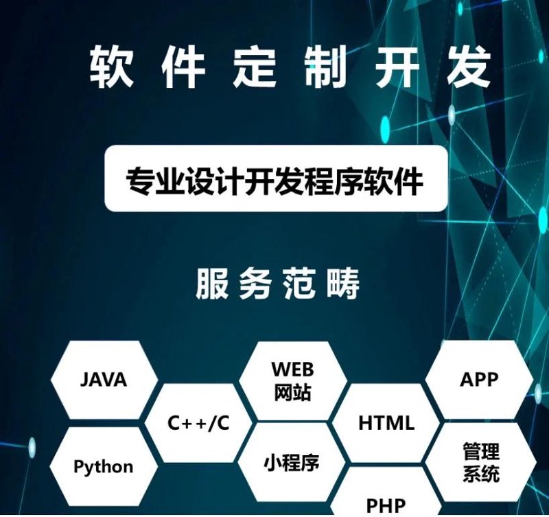 系统集成：构建企业数字未来